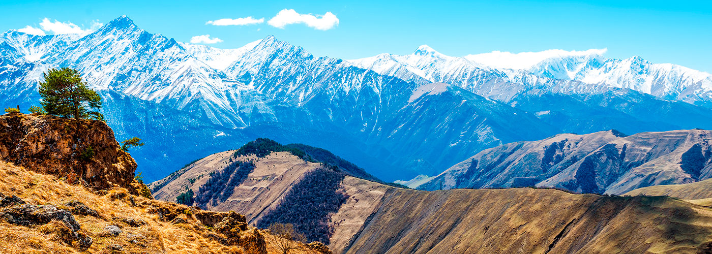 в Махачкалу