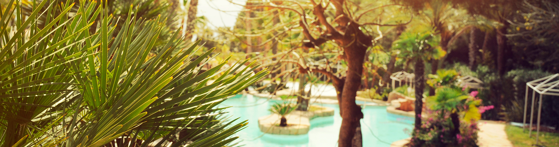 Авиабилеты в Алжир