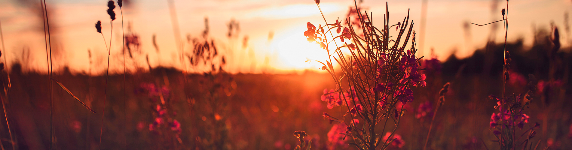 Авиакасса в Батагае