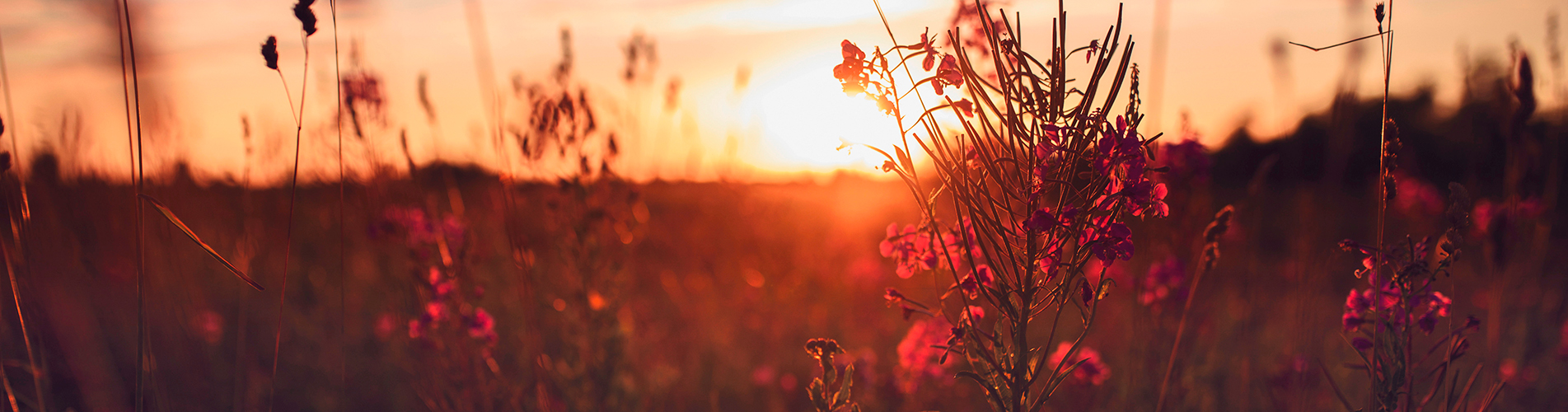 Авиакасса в Ербогачене