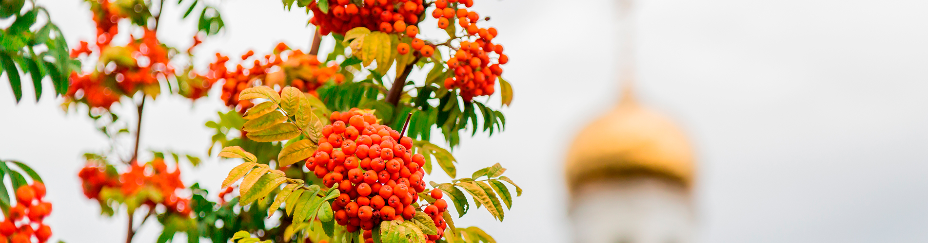 Авиакасса в Тикси