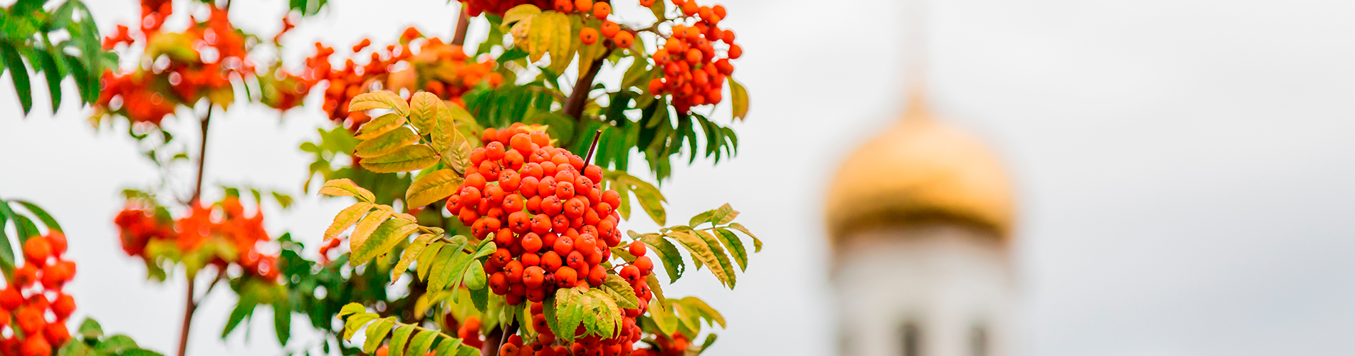 Авиакасса в Олёкминске