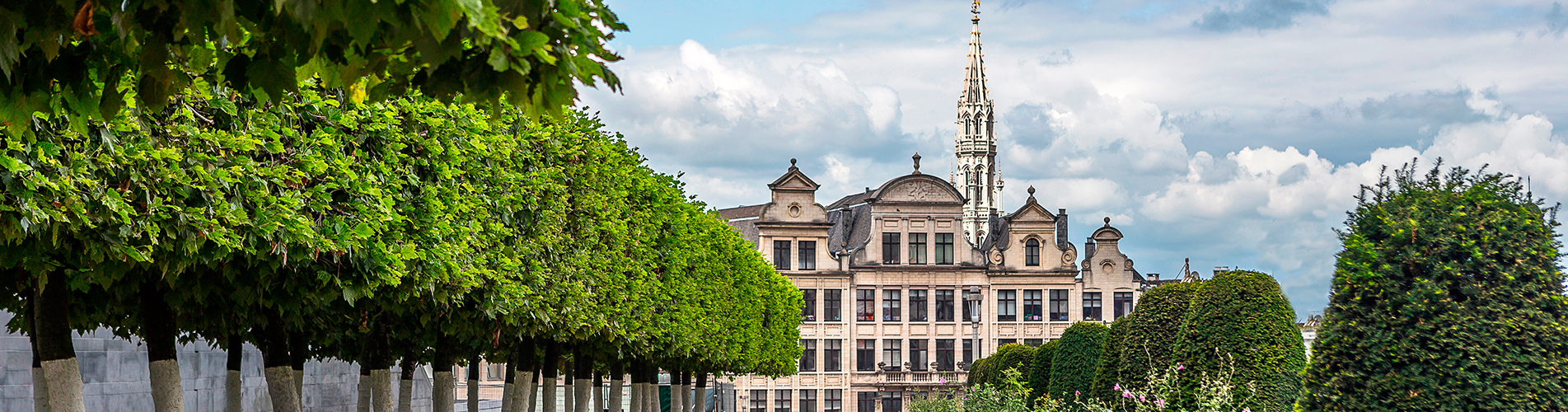 Авиакасса в Брюгге