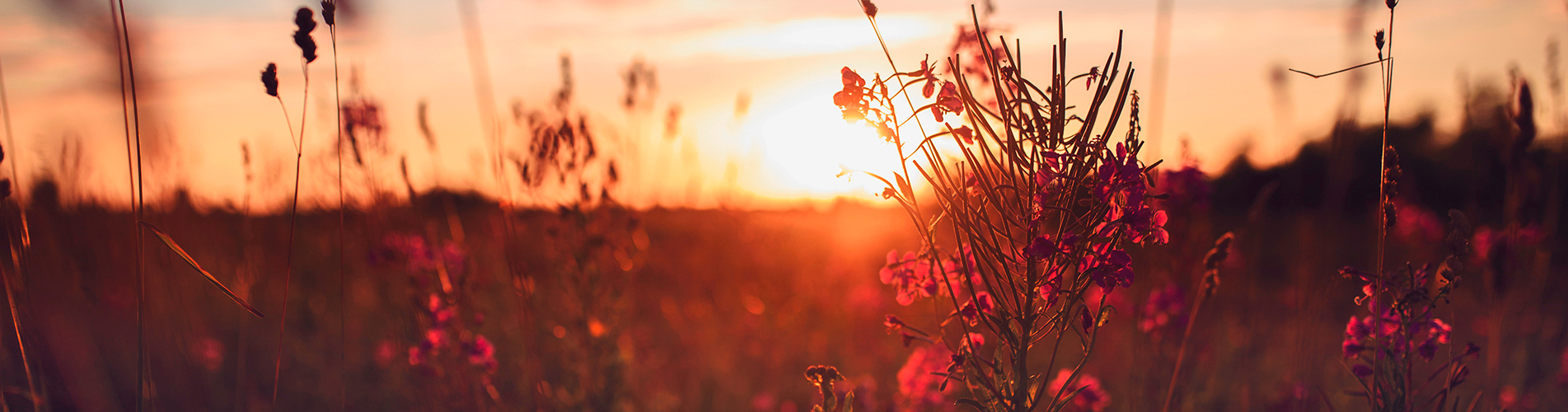 Авиакасса в Печоре