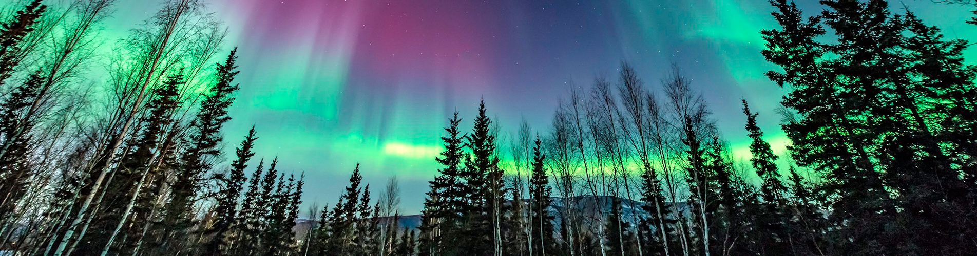 Авиакасса в Салехарде